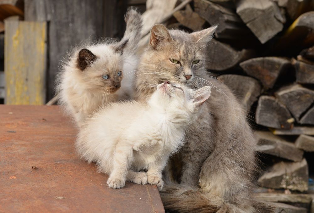 Photograph by Альфия Бикмухаметова