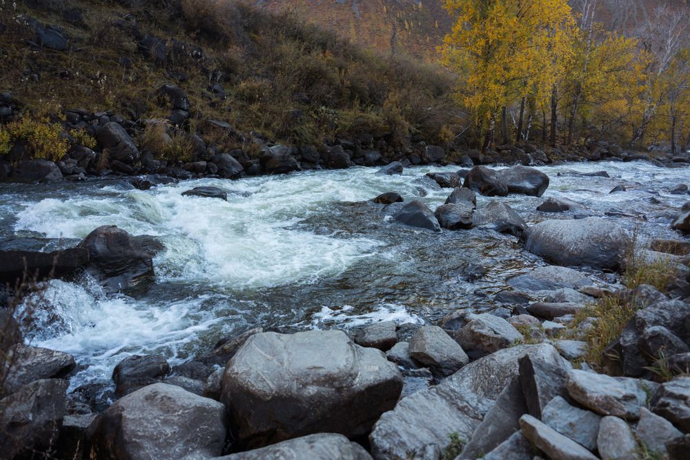 Photograph by Анна Полушина