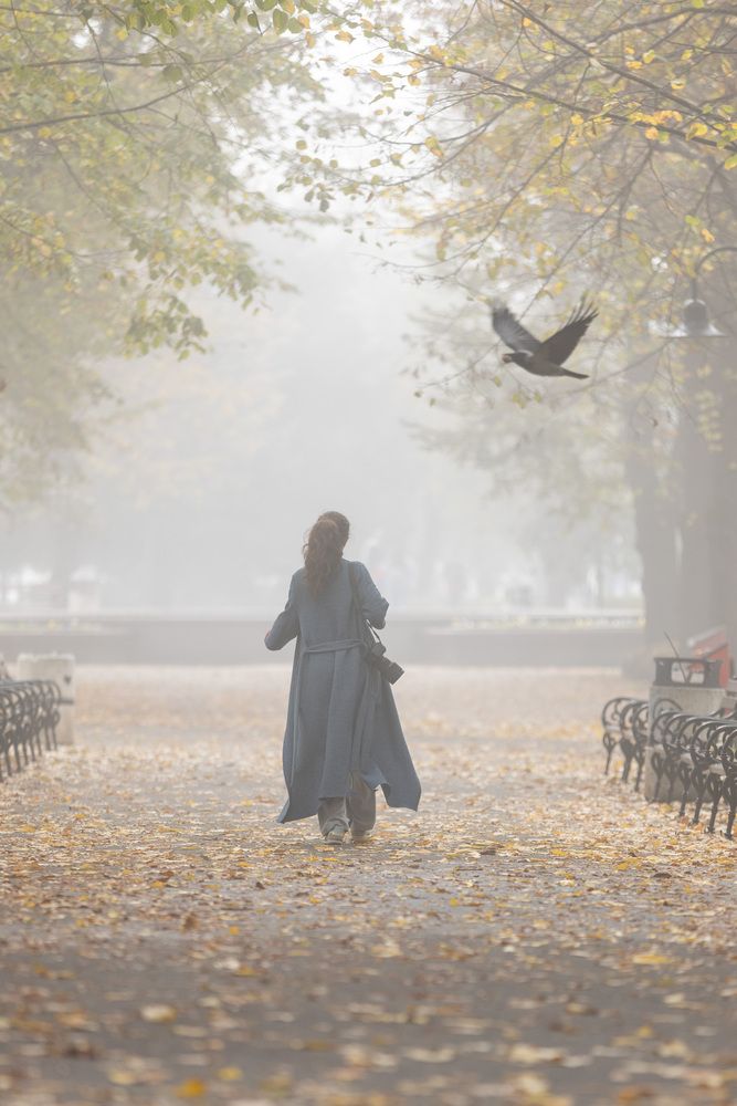 Between a Step and a Flight | Между шагом и полётом