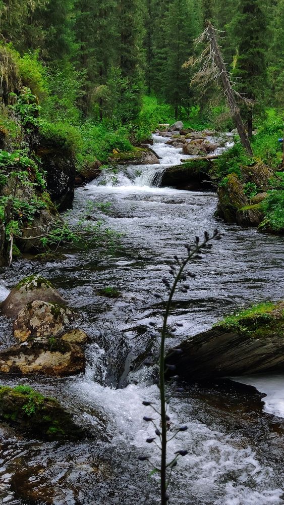 Река Тушканчик, Ергаки