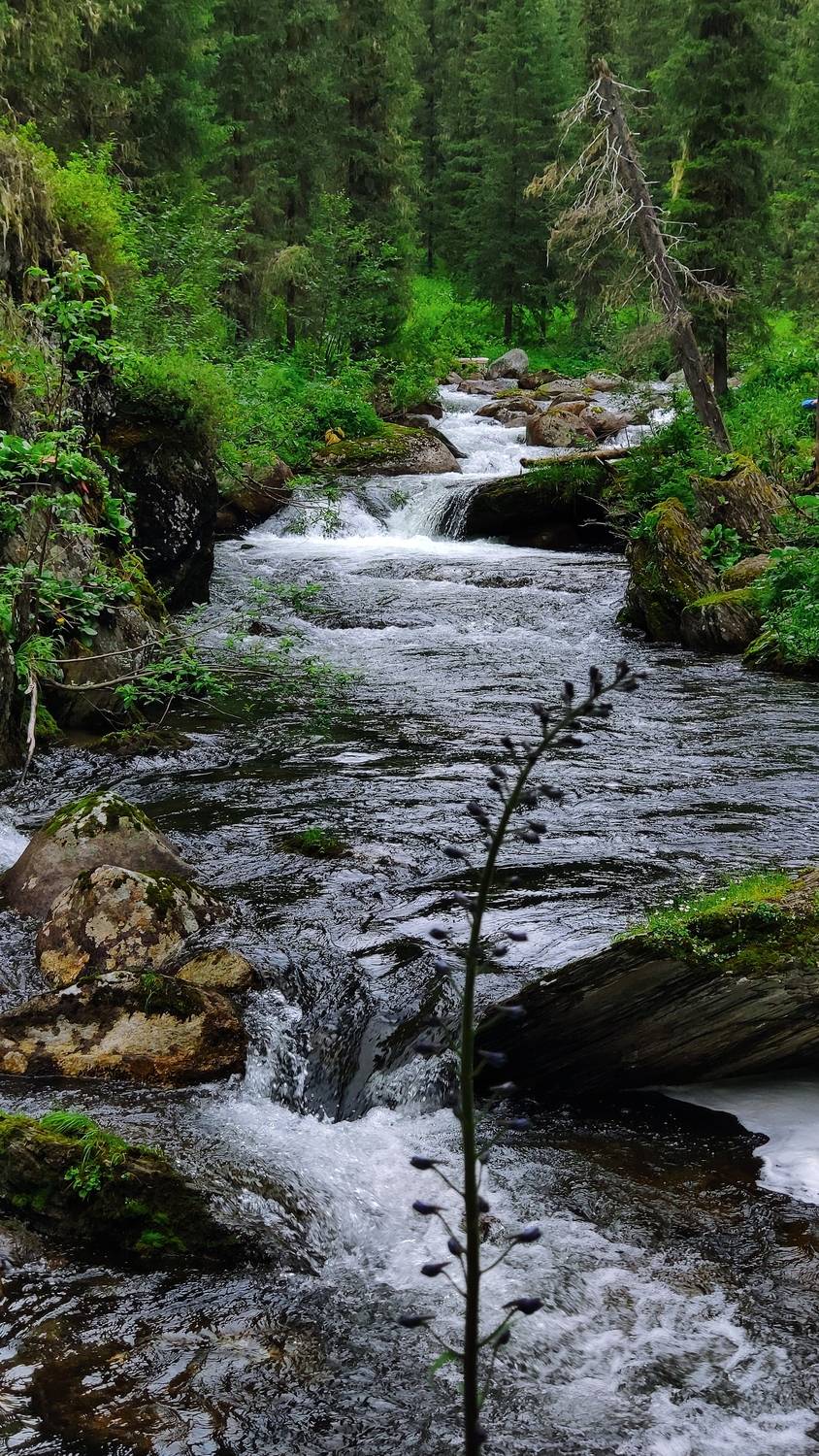 Река Тушканчик, Ергаки