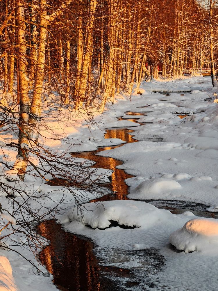 Photograph by OLga Piirainen