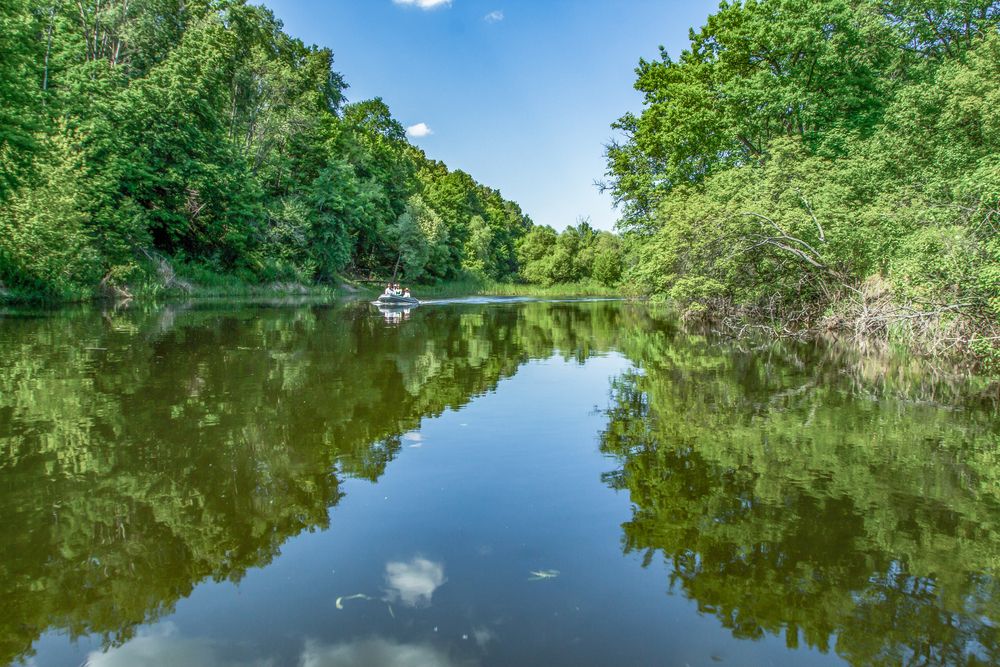 Photograph by Виталий Новиков