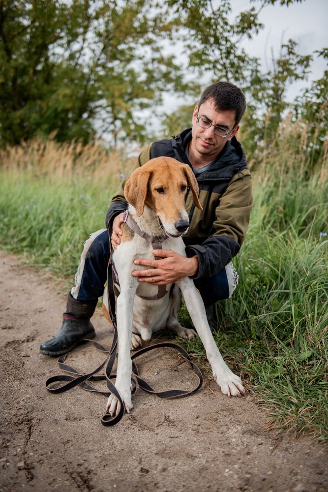 Photograph by Алла Киржинова