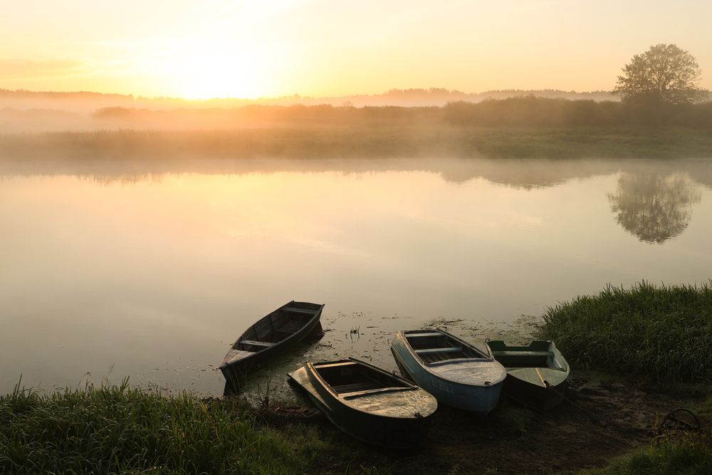 Photograph by Ирина Романовская
