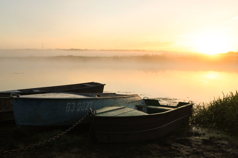 Photograph by Ирина Романовская