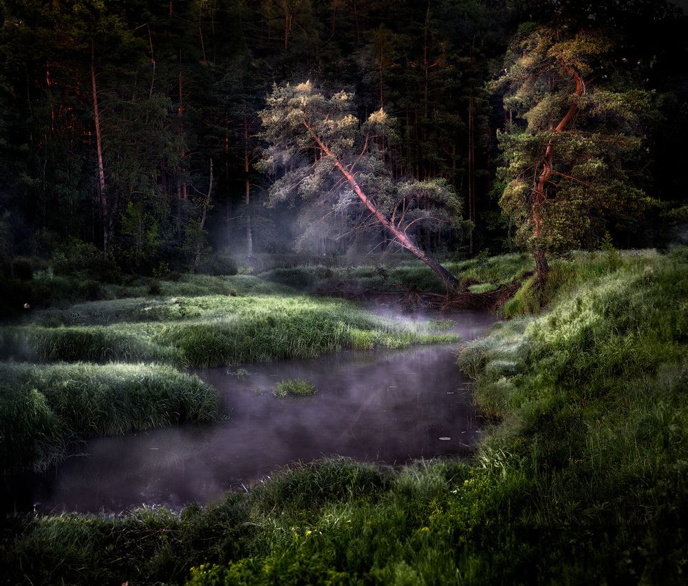 Photograph by Alex Mimo