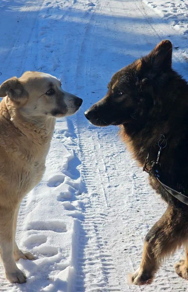 Сладкая парочка Миша и Маша!