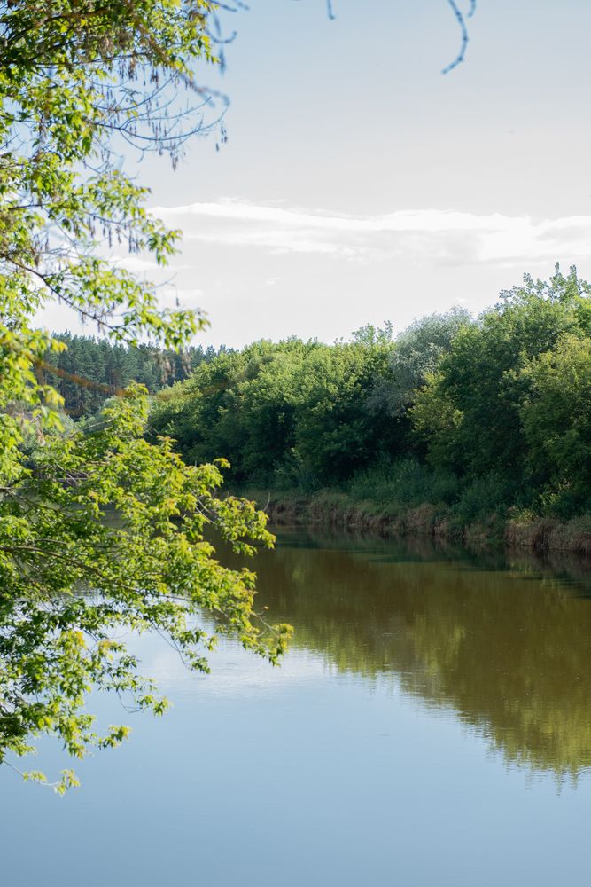 Photograph by Алла Киржинова