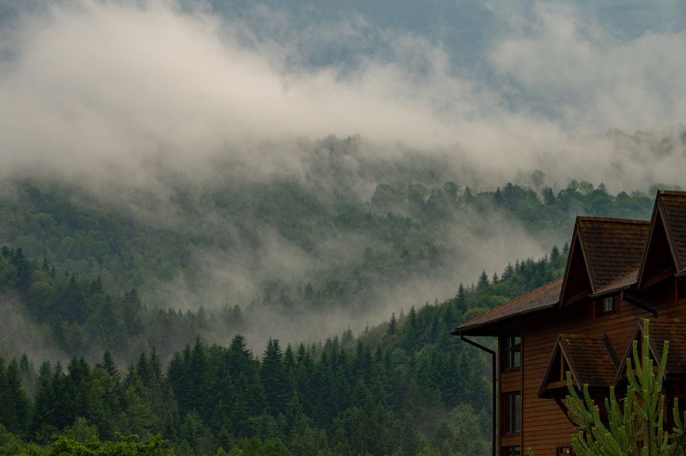 Photograph by vladimir dieiev