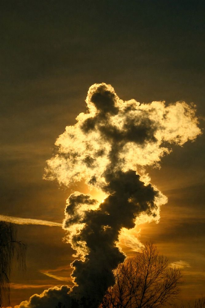 Фотография автора Дмитрий Самойлов