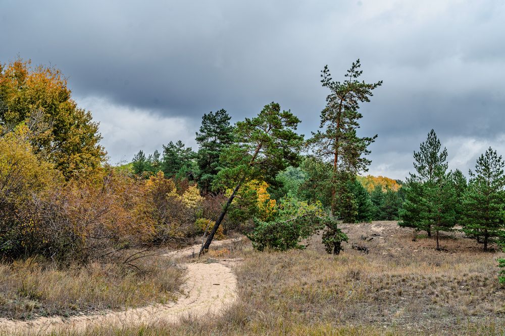 Photograph by vladimir dieiev