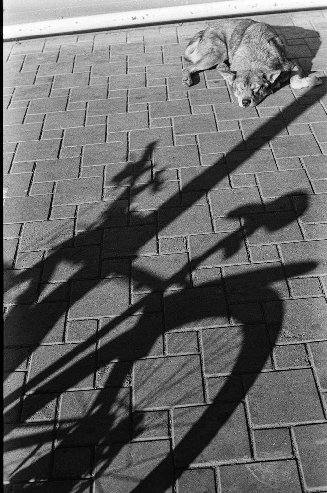 Photograph by Светлана Щемелева