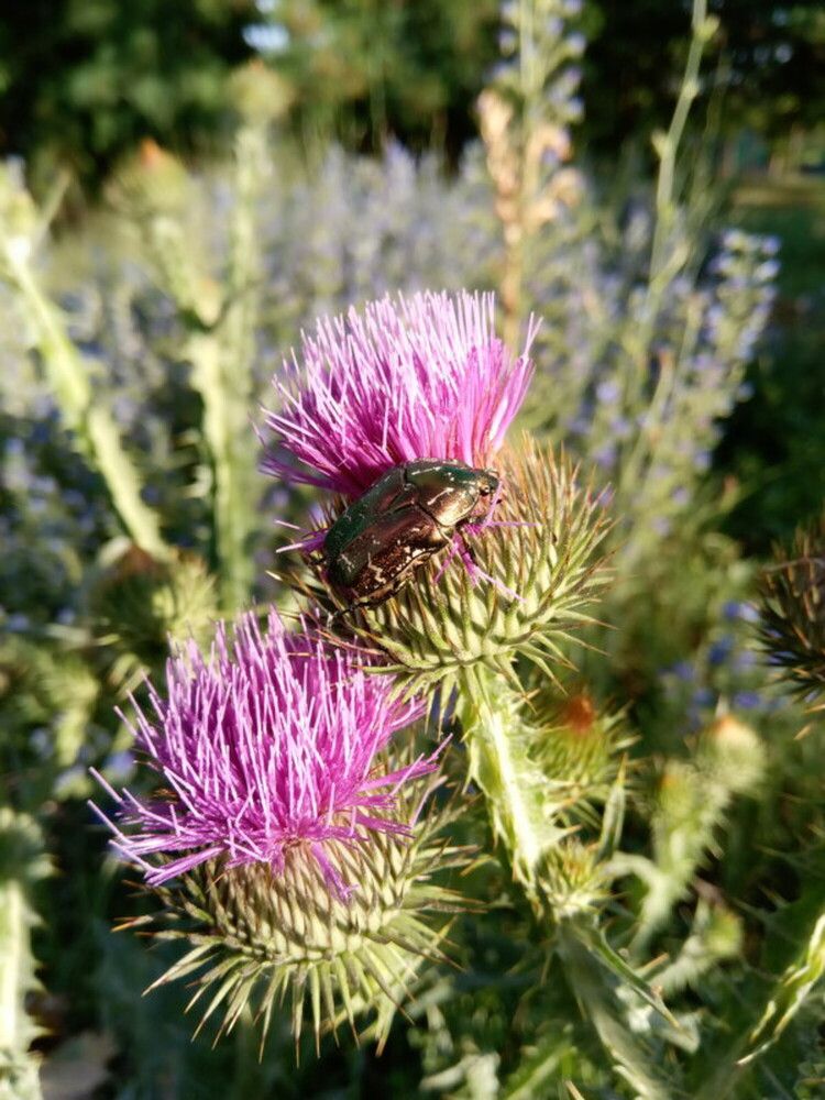 Photograph by Татьяна Пальчикова