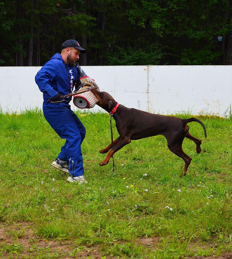 Photograph by Елена Ермакова