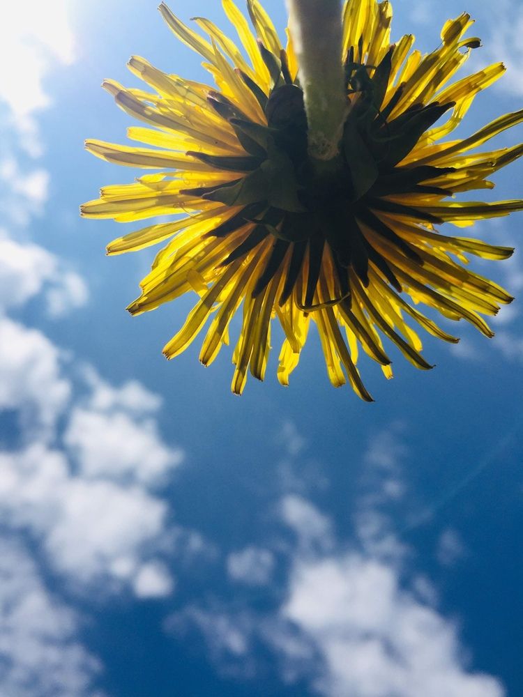Photograph by Ольга Миронова