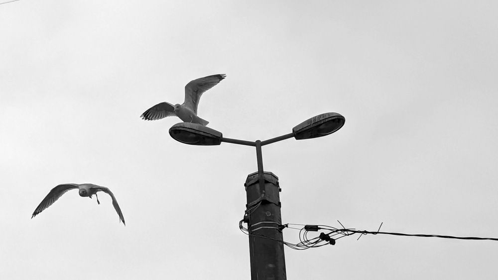 Photograph by Андрей Сварга