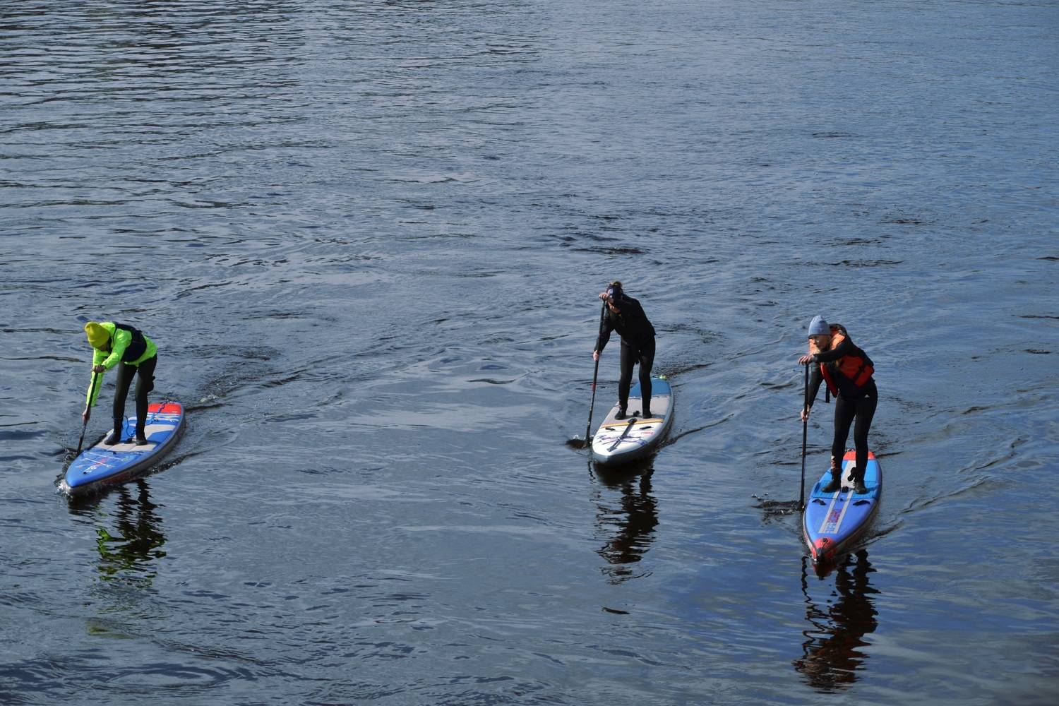 Photo #13298771