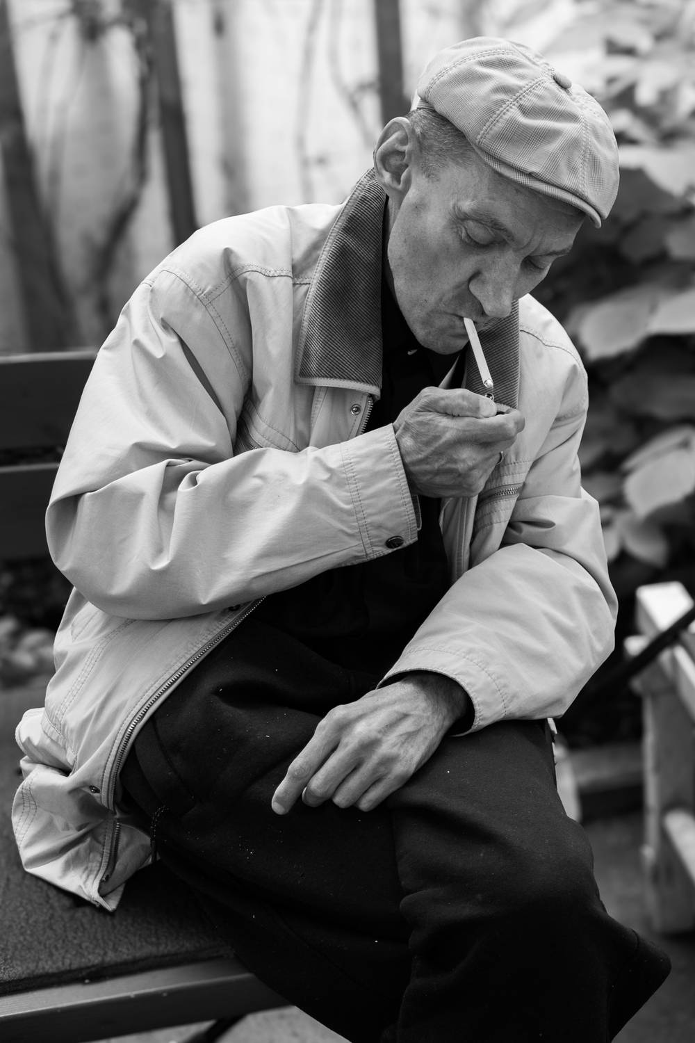 Photo #13298775