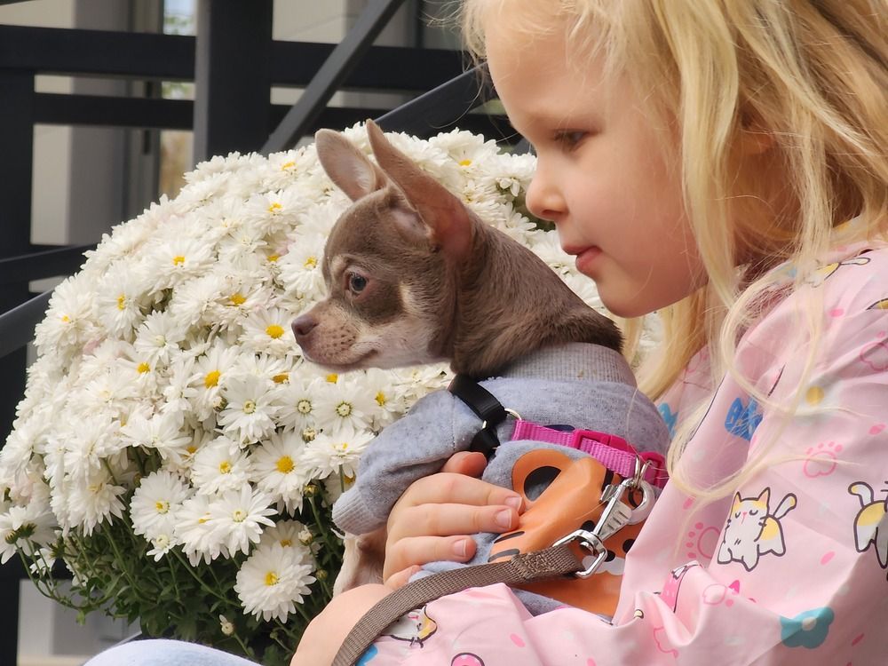 Photograph by Anna Semenova