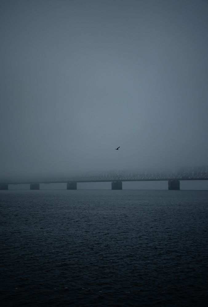 Photograph by Ольга Мукина