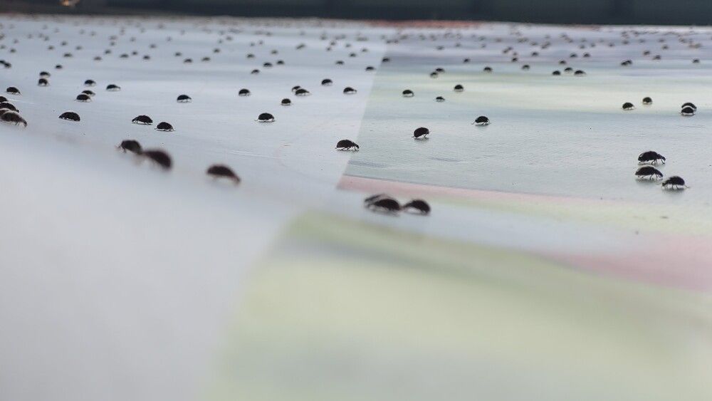 Photograph by Дерезюк Юрий Александрович