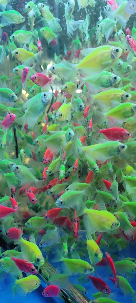 Фотография автора Татьяна Марсуверских