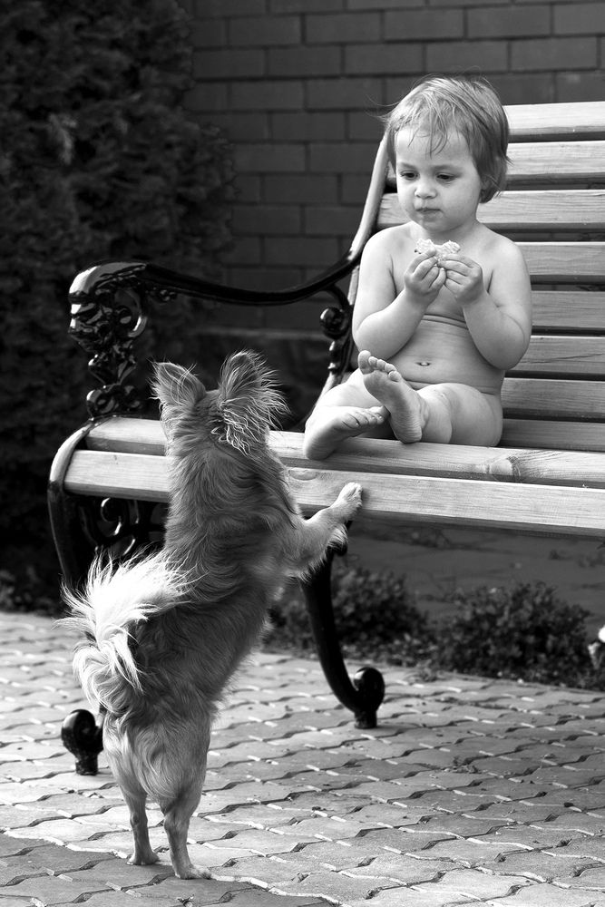 Фотография автора Анатолий Макоедов