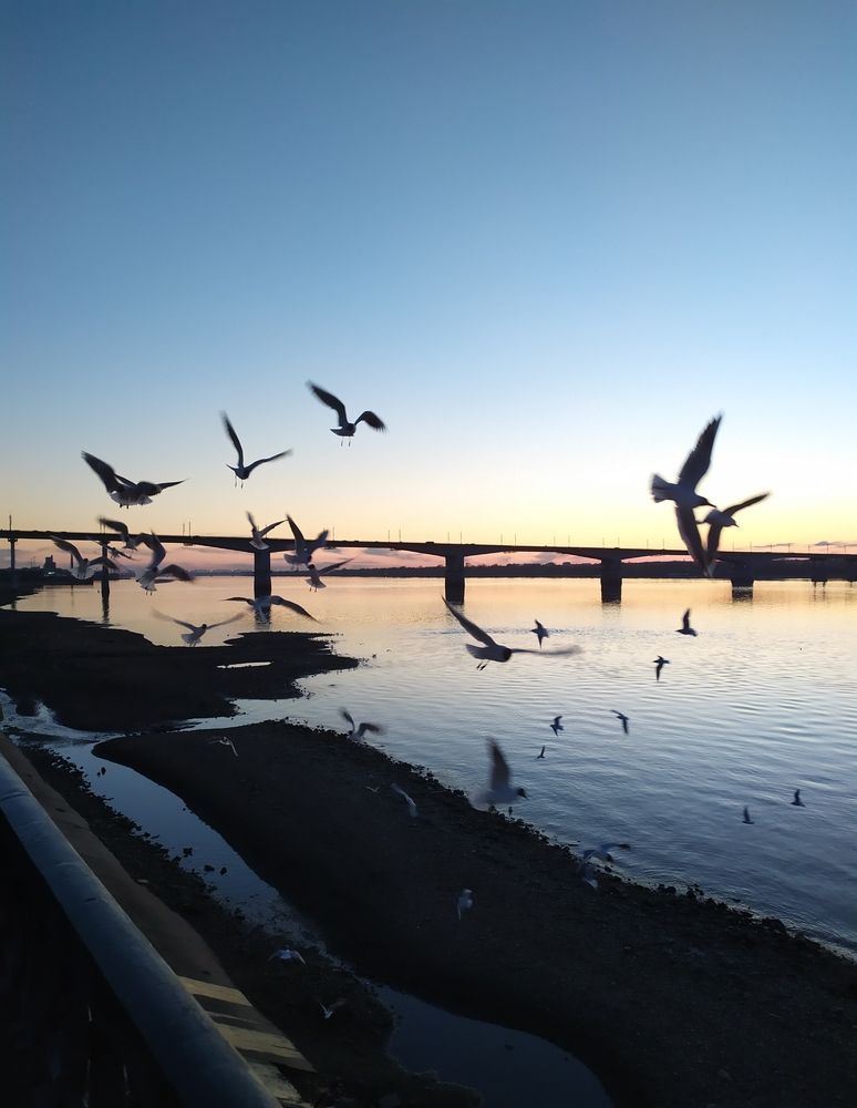 Photograph by Анна