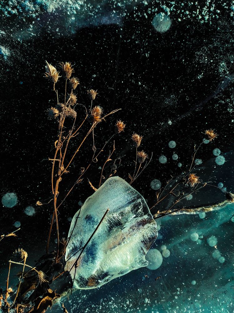 Photograph by Евгений Колтунов