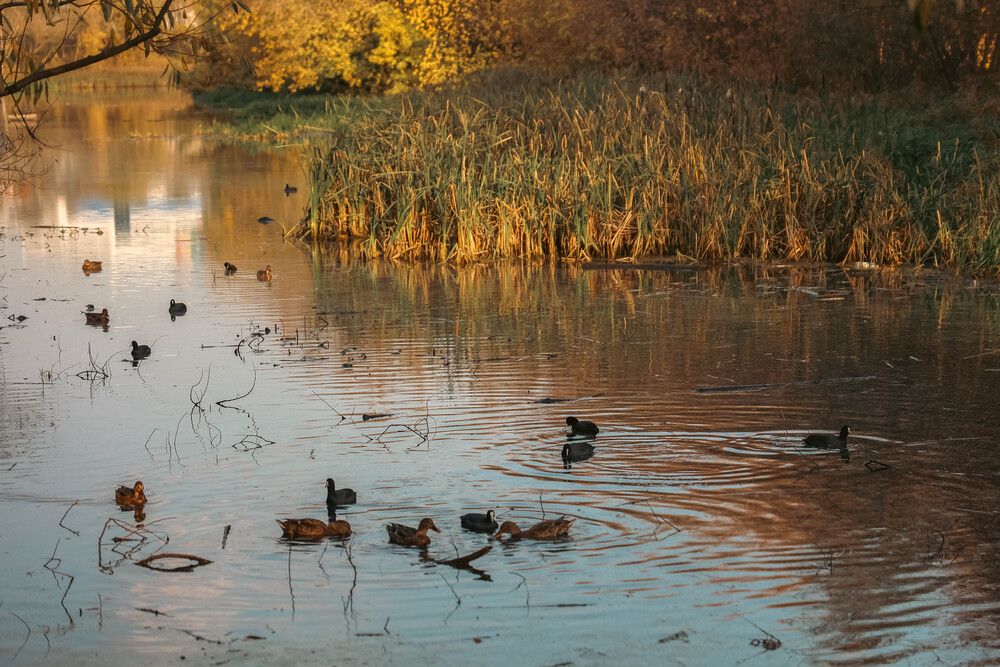 Фотография автора Татьяна Марсуверских