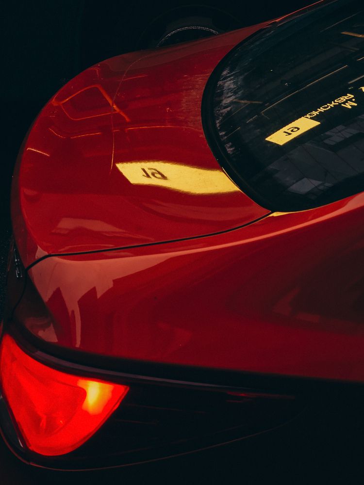 Фотография автора Кристина Альшанская