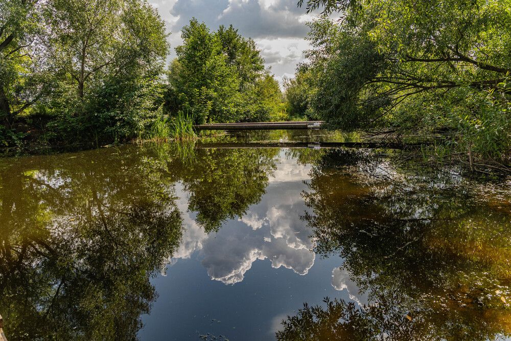 Фотография автора Татьяна Марсуверских