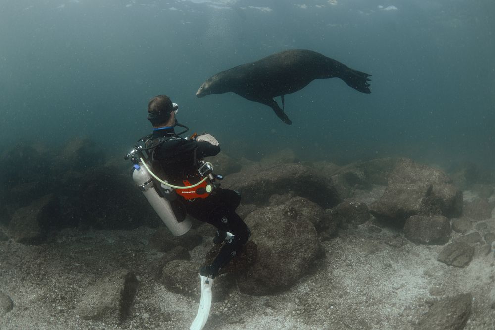 Photograph by ANTONIO RUVER BANDEIRA