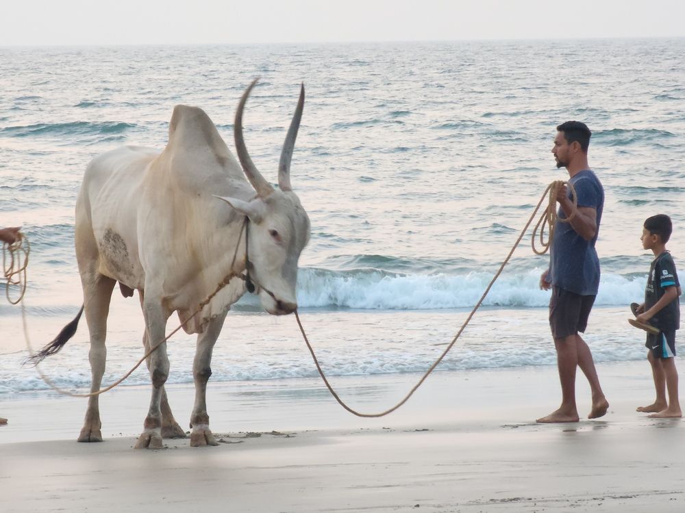 Photograph by Anna Semenova