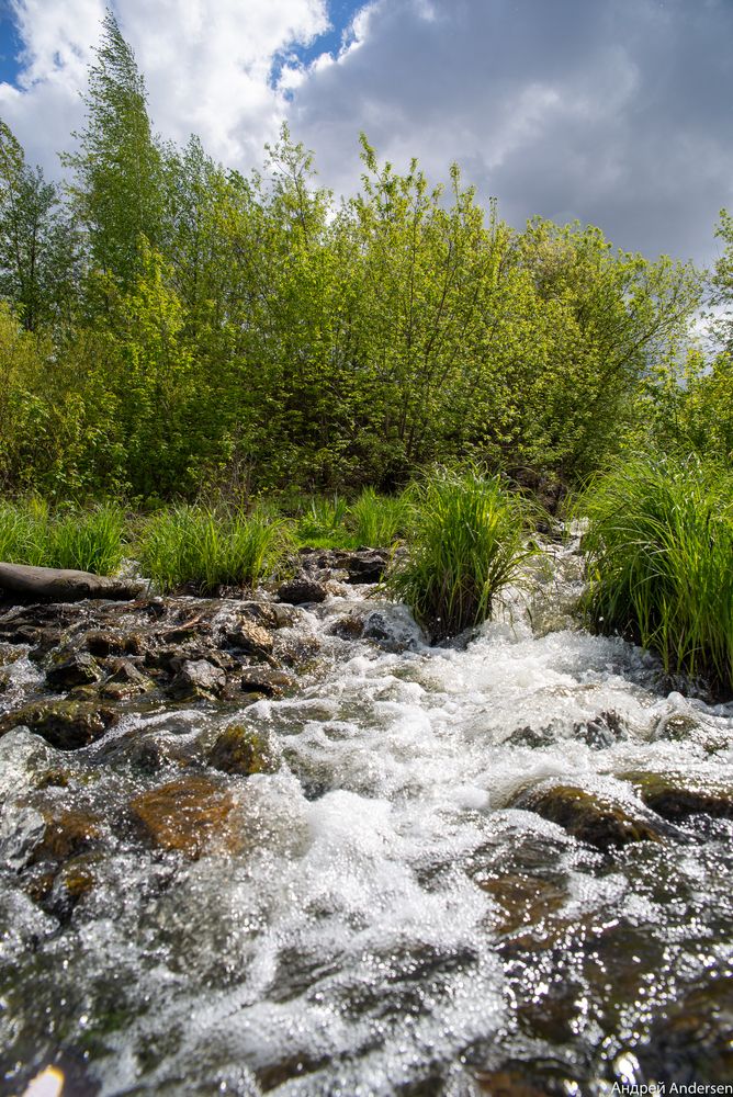 Photograph by Андрей Золин