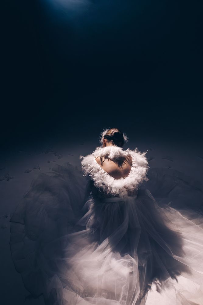 The White Swan