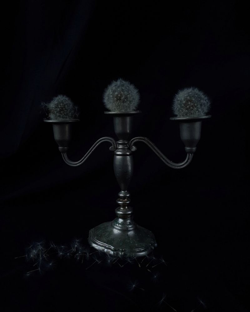 Photograph by Анастасия Ардасова