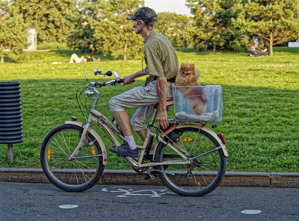 Поездка с пассажиром
