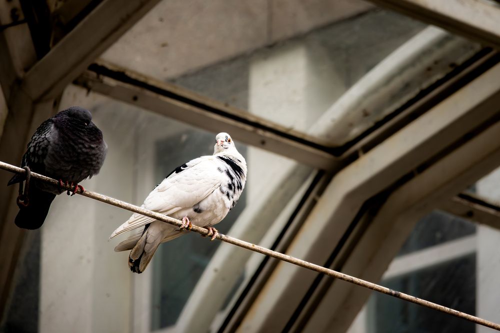 Photograph by Eduard Melnytskyi