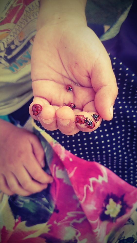 Фотография автора Татьяна Марсуверских