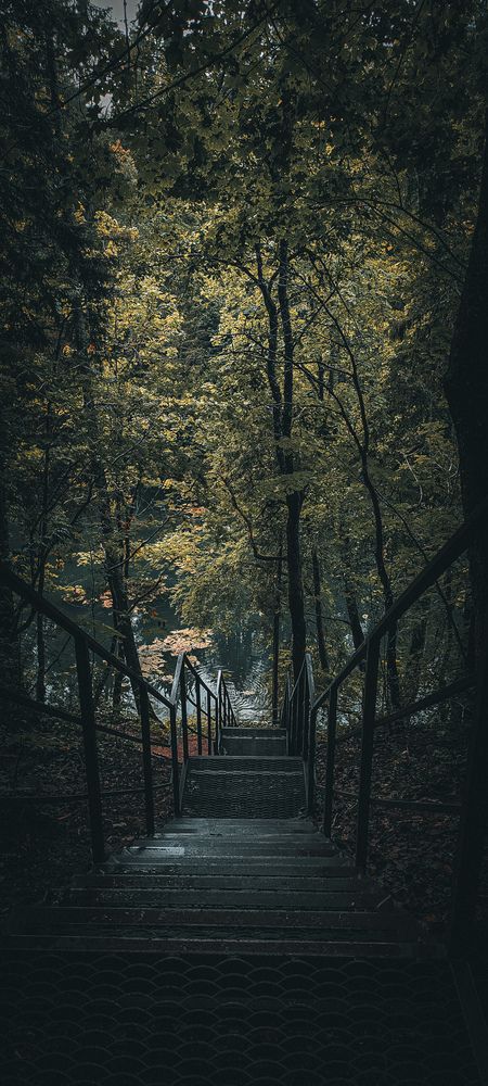 Photograph by Jane Three
