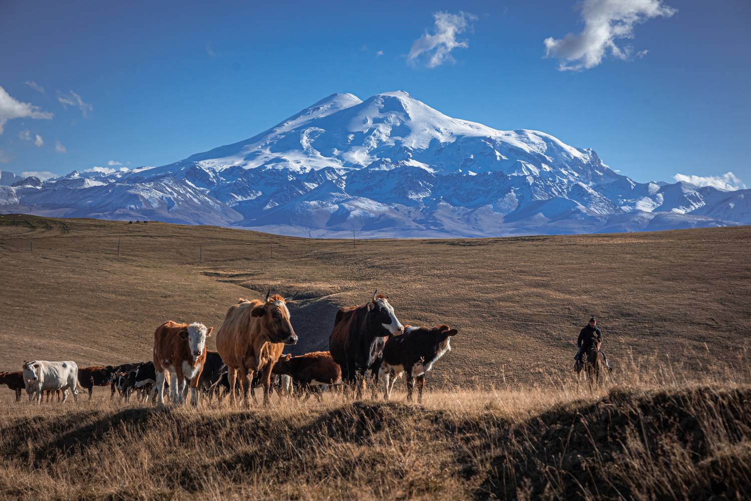 Фотография #13299359