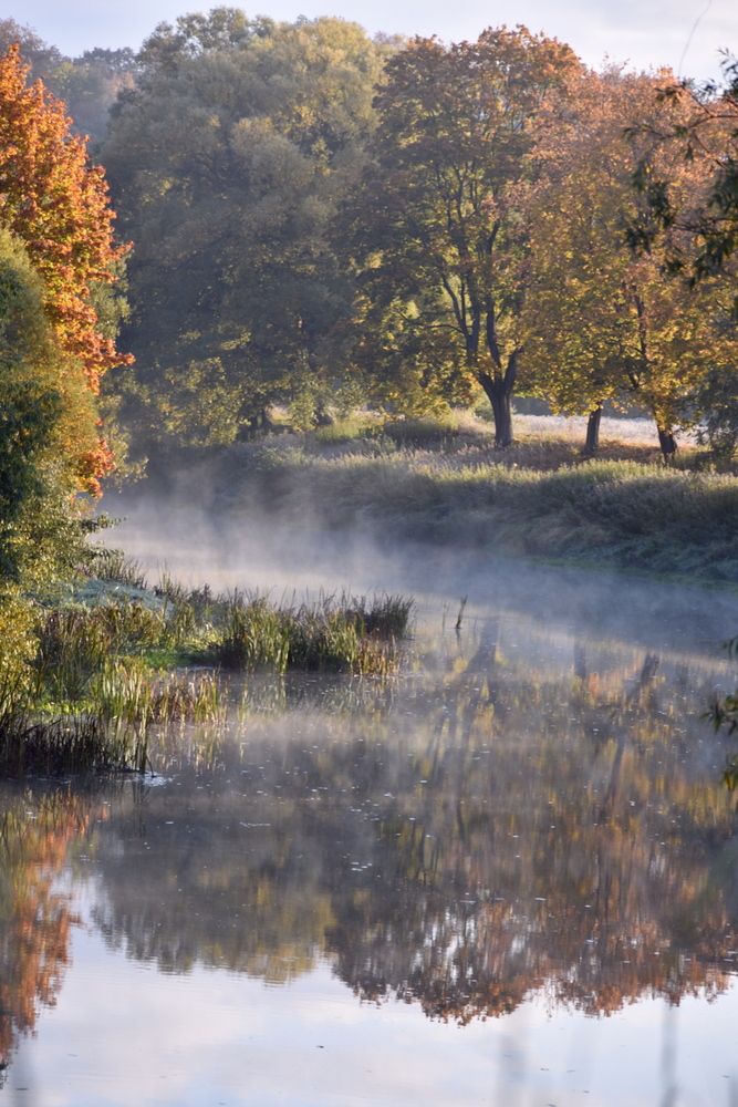 Призрачный мир