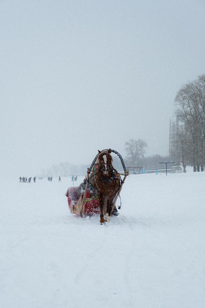 Photograph by Alexander Nosov