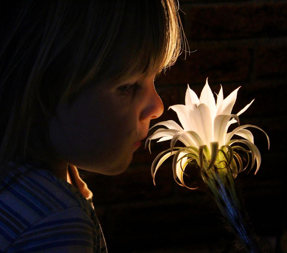 Photograph by Светлана Шубина