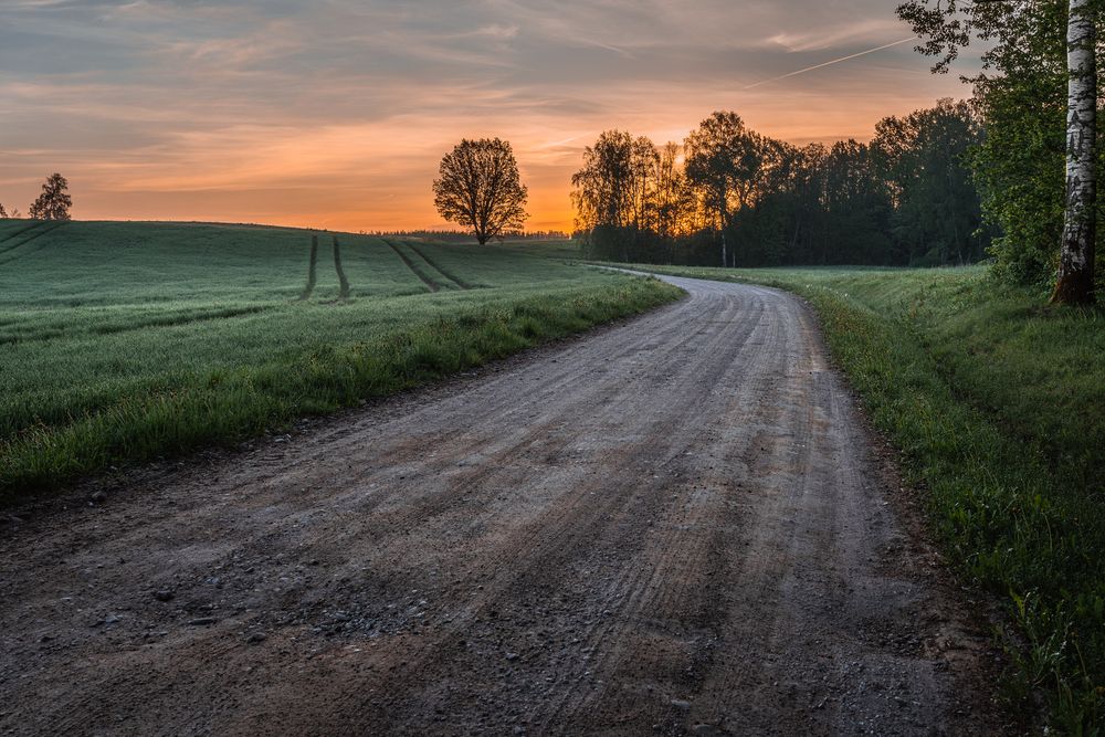 Photograph by Dace Spalvina