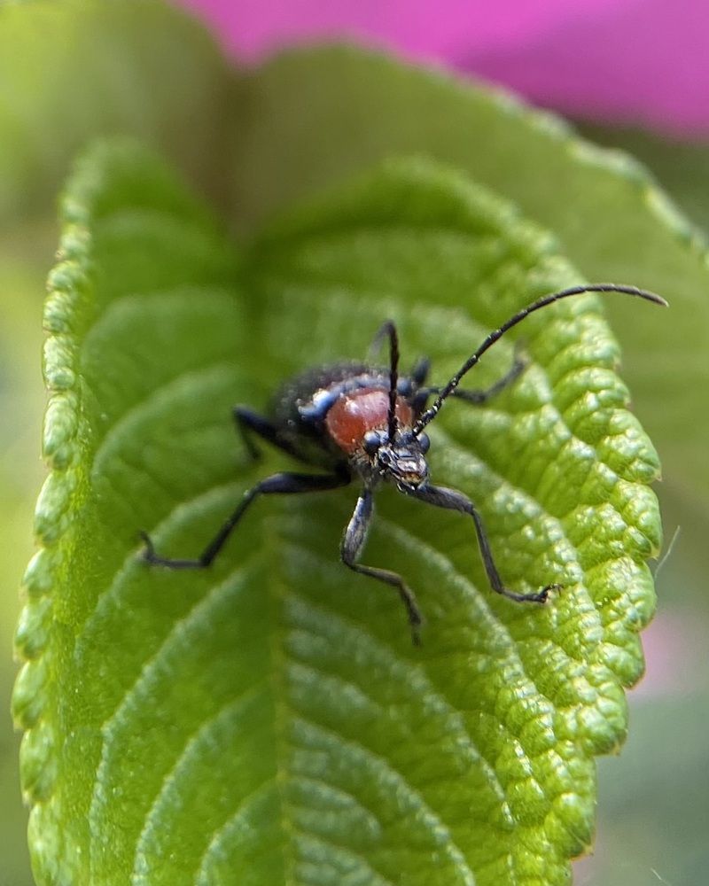 Photograph by Ольга Осинина