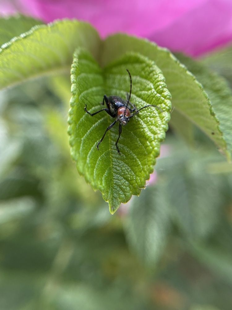 Photograph by Ольга Осинина
