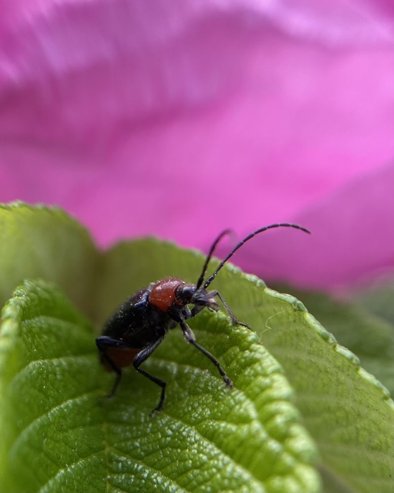 Photograph by Ольга Осинина